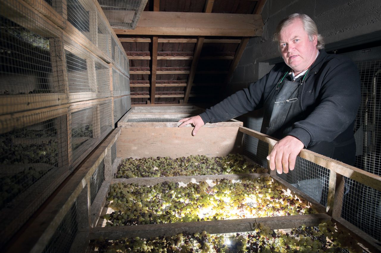 Vins Vigneron François Mossu Mossu-0003